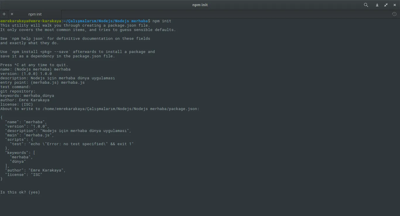 npm init