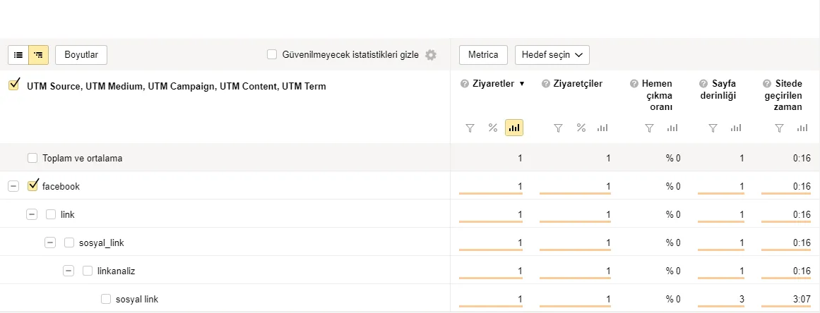 Yandex Metrica UTM Detaylı Analiz