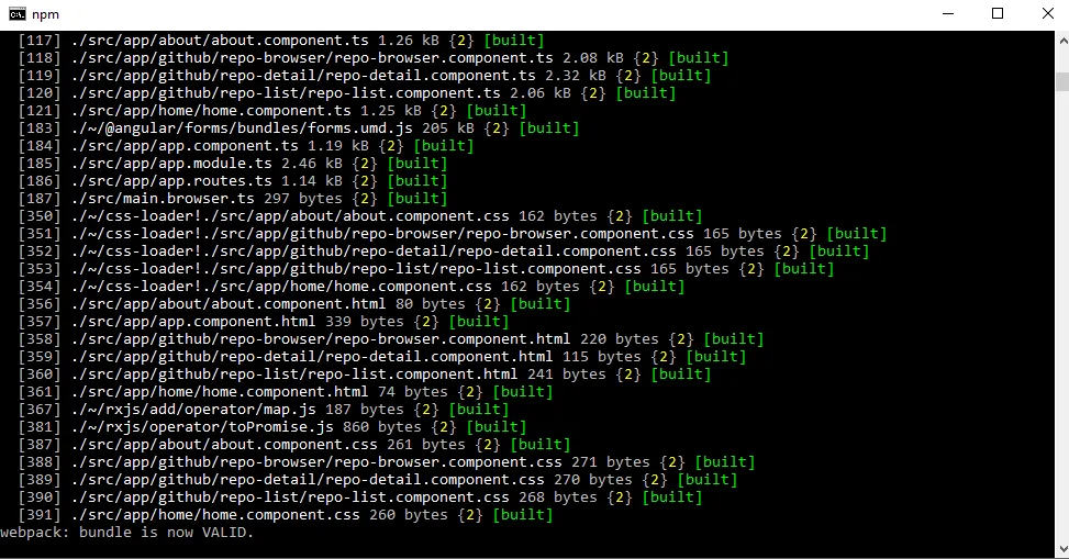 Örnek bir npm start komutu