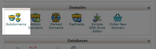 Wildcard Subdomain (Alt Alan Adı) Açma