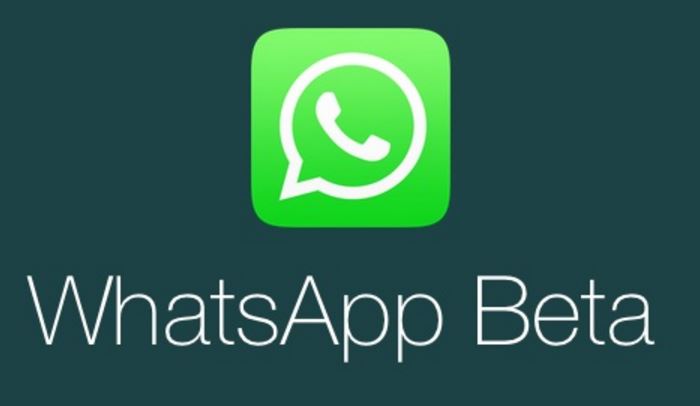 Whatsapp Beta Kullanıcısı Olmak